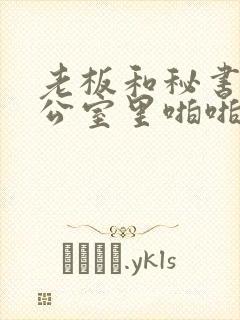 老板和秘书在办公室里啪啪啪