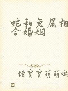 蛇和兔属相合不合婚姻