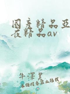国产精品亚洲午夜精品av