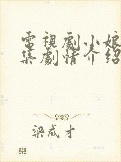 电视剧小娘惹分集剧情介绍