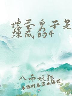 坏蛋皇子是怎样炼成的4