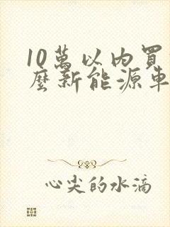 10万以内买什么新能源车