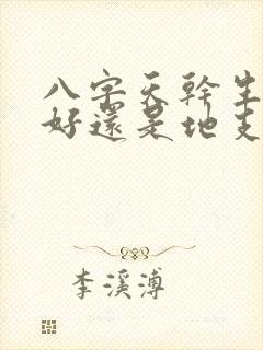 八字天干生地支好还是地支生天干好