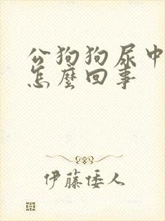 公狗狗尿中带血怎么回事
