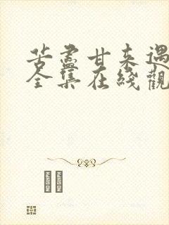 苦尽甘来遇见你全集在线观看免费高