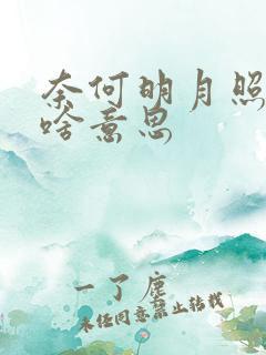 奈何明月照沟渠啥意思