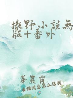撒野小说无删减版+番外