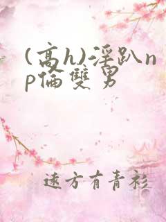 (高h)淫趴np伦双男