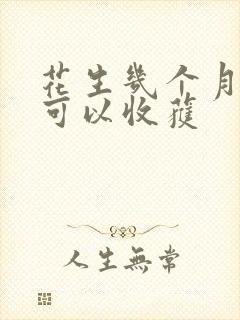 花生几个月成熟可以收获