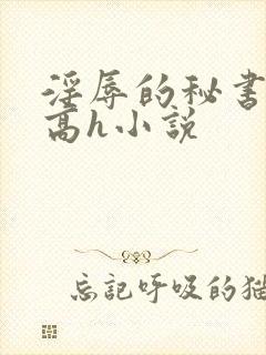淫辱的秘书调教高h小说