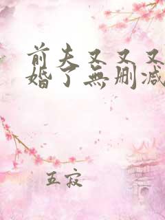 前夫又又又想复婚了无删减小说