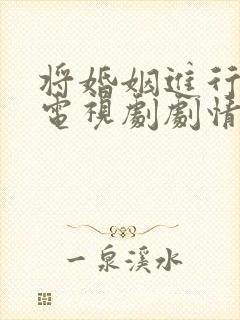 将婚姻进行到底电视剧剧情