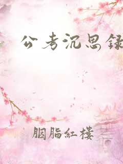 公考沉思录