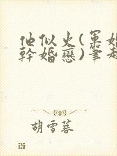他似火(军婚高干婚恋)笔趣阁完整版