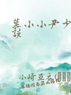慕小小尹少桀小说
