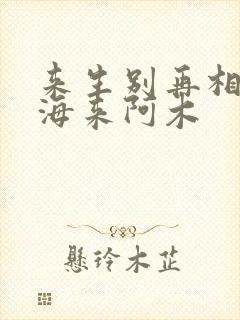 来生别再相遇 海来阿木