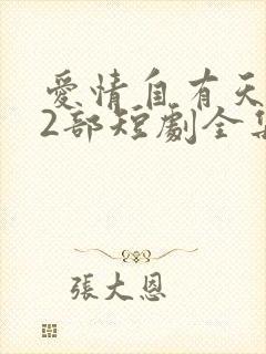 爱情自有天意第2部短剧全集