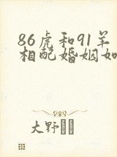 86虎和91羊相配婚姻如何