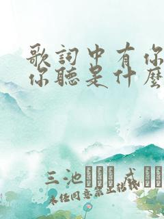 歌词中有你看…你听是什么歌