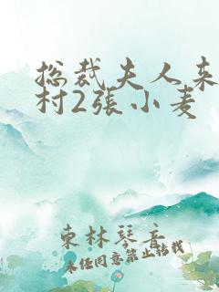 总裁夫人来自农村2张小麦
