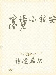官场小说安江秦盼儿