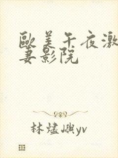 欧美午夜激情夫妻影院