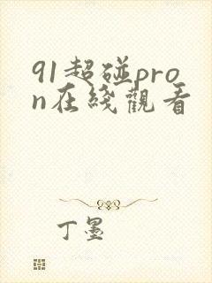 91超碰pron在线观看