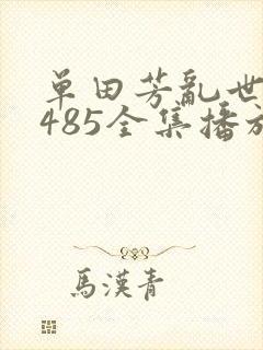 单田芳乱世枭雄485全集播放