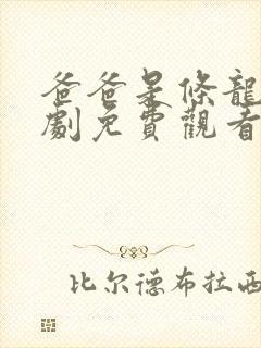 爸爸是条龙电视剧免费观看