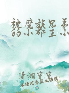 被魔族兄弟囚禁的小郡主小说推荐