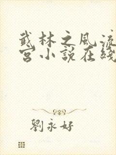 武林之风流大后宫小说在线阅读