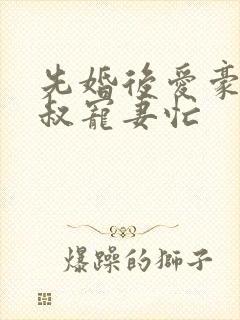 先婚后爱豪门大叔宠妻忙