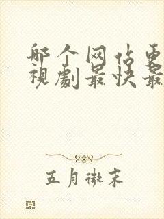 哪个网站更新电视剧最快最全