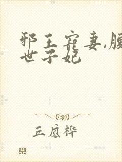 邪王宠妻,腹黑世子妃