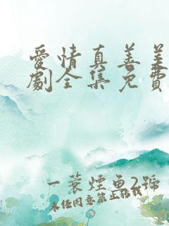 爱情真善美电视剧全集免费观看高清