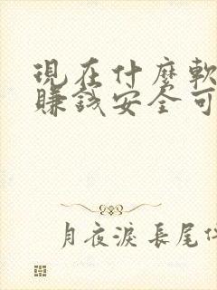 现在什么软件最赚钱安全可靠
