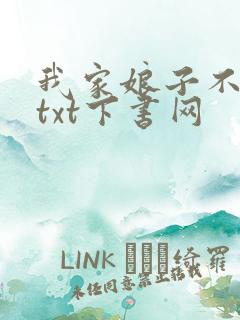 我家娘子不对劲txt下书网