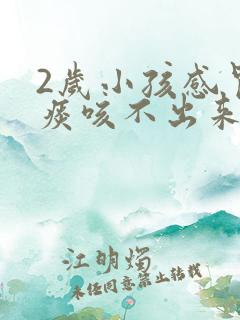 2岁小孩感冒有痰咳不出来怎么办