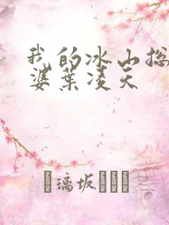 我的冰山总裁老婆叶凌天