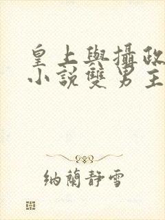 皇上与摄政王的小说双男主