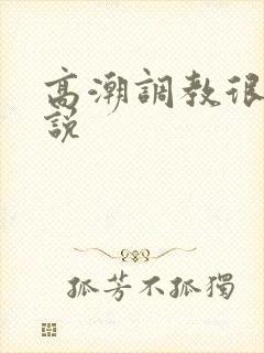 高潮调教很爽小说