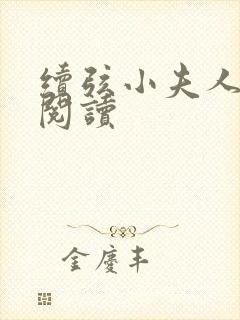 续弦小夫人全本阅读