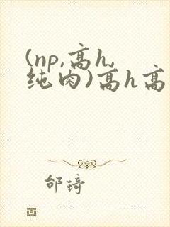 (np,高h,纯肉)高h高辣男男