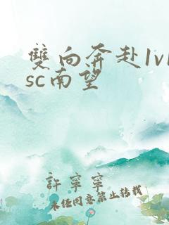 双向奔赴1v1sc南望
