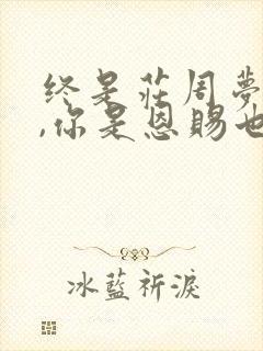终是庄周梦了蝶,你是恩赐也是劫意思