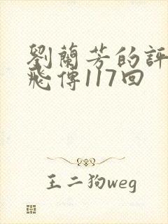刘兰芳的评书岳飞传117回