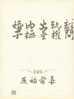 婚内出轨离婚孩子抚养权问题