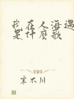 我在人海遇见你是什么歌