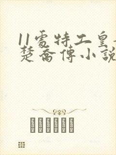 11处特工皇妃楚乔传小说