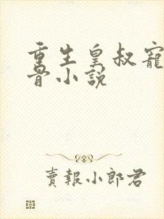 重生皇叔宠我入骨小说